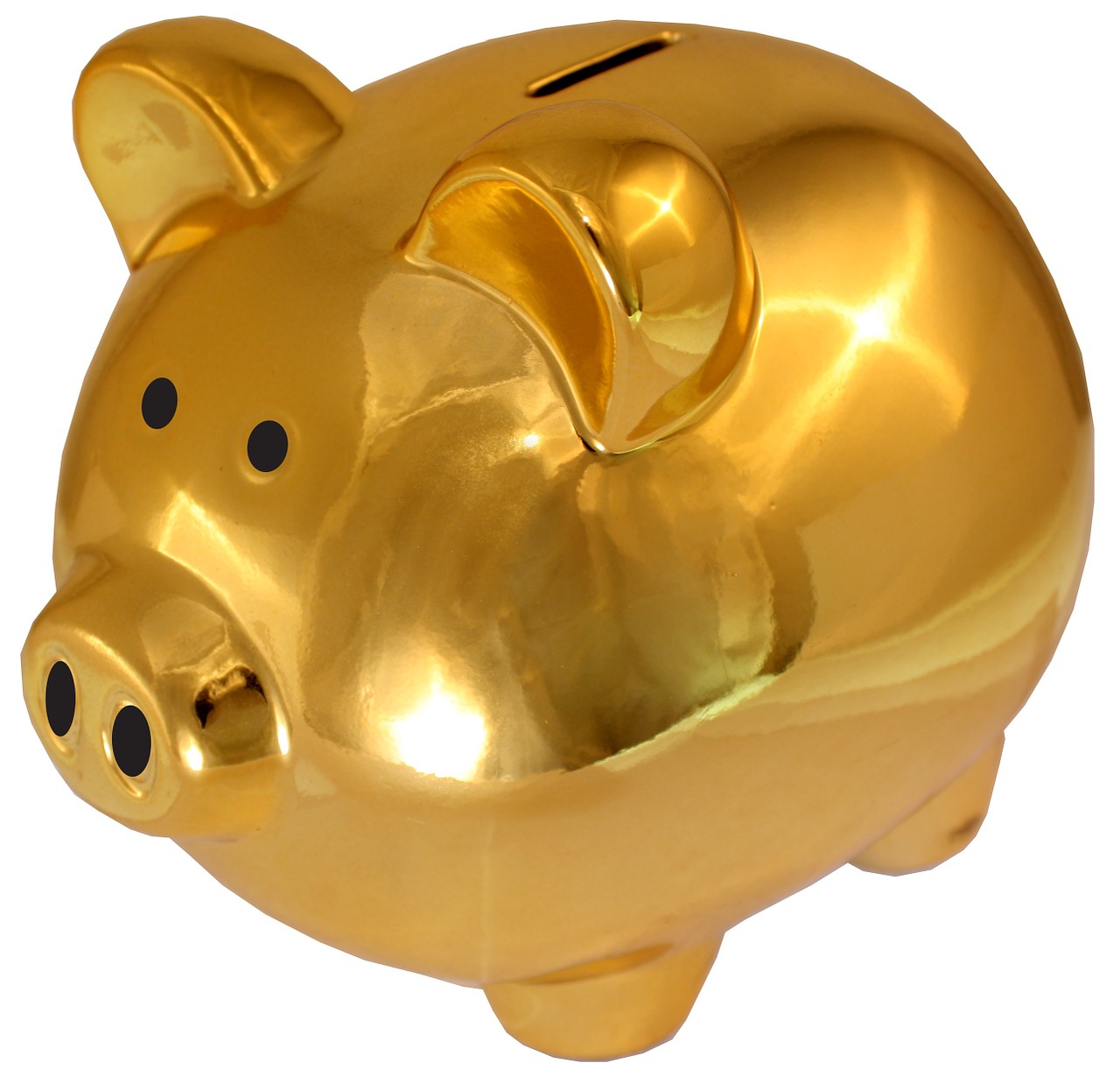 Great Functionality Piggy Bank