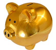Great Functionality Piggy Bank